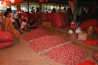red-onion-market-26