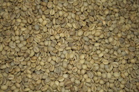 robusta-coffee-factory-01