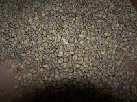 robusta-coffee-factory-02