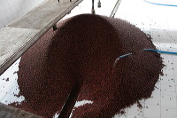 robusta-coffee-factory-33