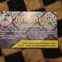 batik-brotoseno-09