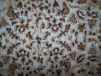 batik-gedhog-39