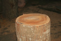 blitar-handicrafts-35