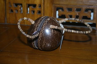 coconut-craft-41