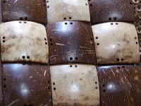 coconut-craft-53