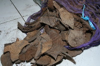 coconut-craft-55