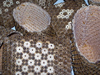 coconut-craft-64