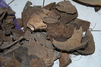 coconut-craft-68