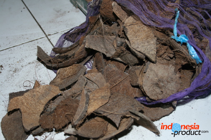 coconut-craft-55.jpg