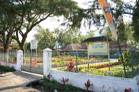 jampit-coffee-plantation-15