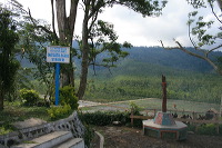 jampit-coffee-plantation-18