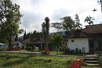 jampit-coffee-plantation-22