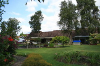 jampit-coffee-plantation-33