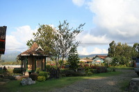 jampit-coffee-plantation-38