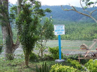 jampit-coffee-plantation-40