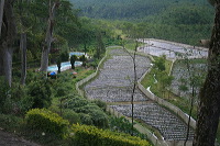jampit-coffee-plantation-43