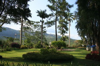 jampit-coffee-plantation-48