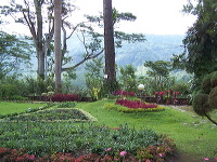 jampit-coffee-plantation-55