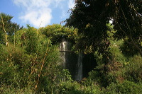jampit-coffee-plantation-61