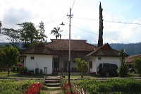 jampit-coffee-plantation-68