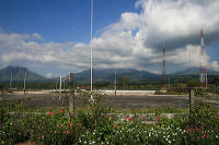 jampit-coffee-plantation-86