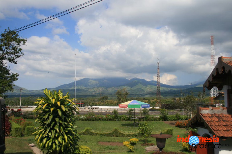 jampit-coffee-plantation-34.jpg