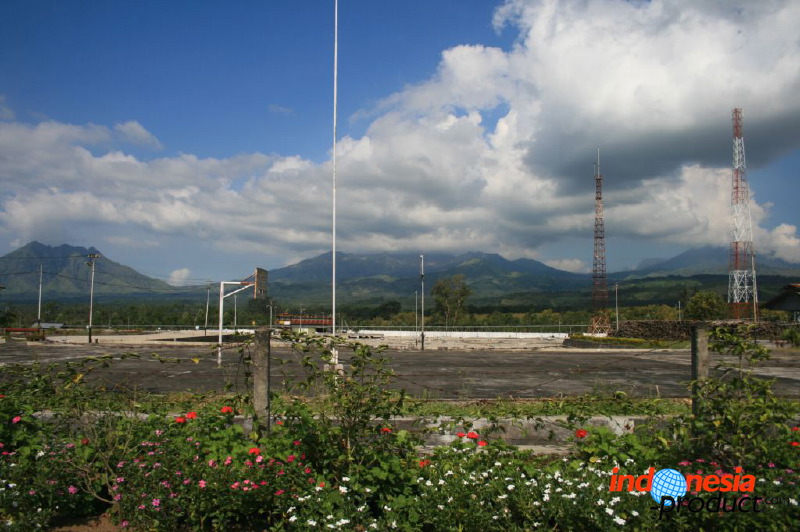 jampit-coffee-plantation-86.jpg