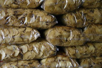 crackers-village-02