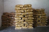 crackers-village-17