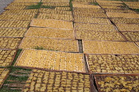 crackers-village-18