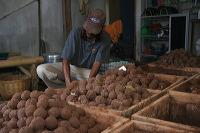 duck-farm-sidoarjo-14