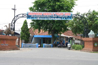 duck-farm-sidoarjo-23