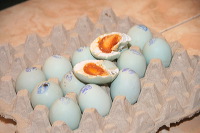 duck-farm-sidoarjo-35
