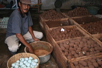duck-farm-sidoarjo-37
