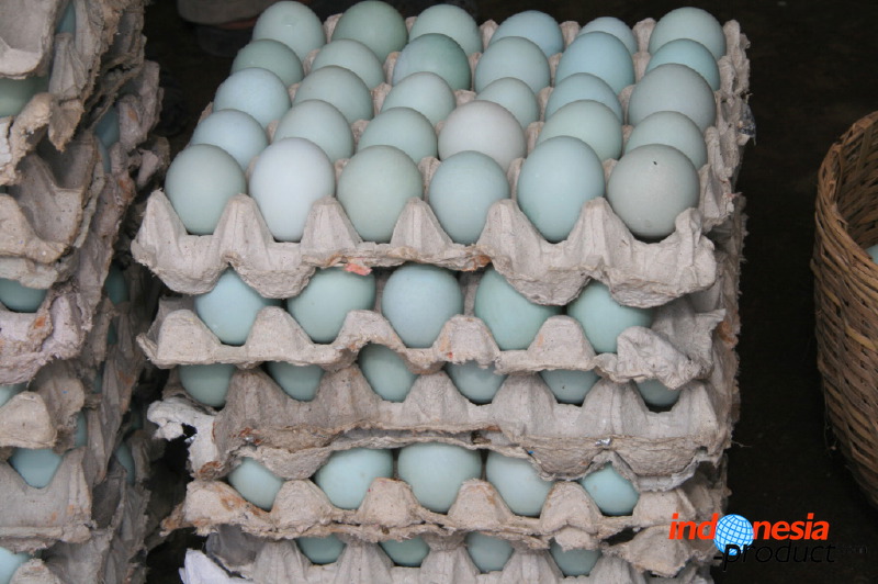 duck-farm-sidoarjo-02.jpg