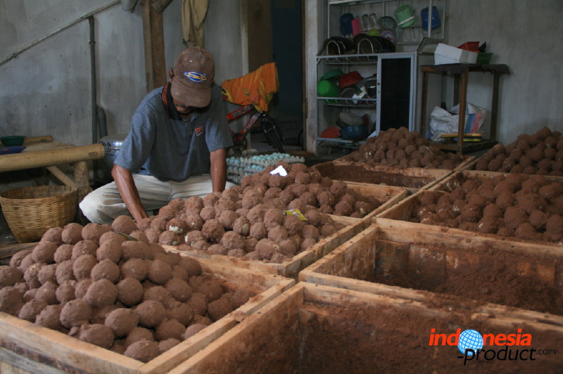 duck-farm-sidoarjo-07.jpg