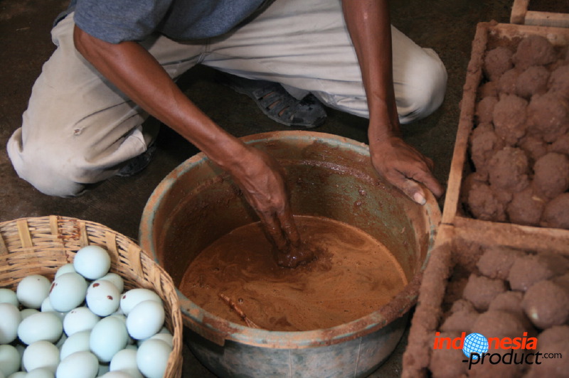 duck-farm-sidoarjo-11.jpg