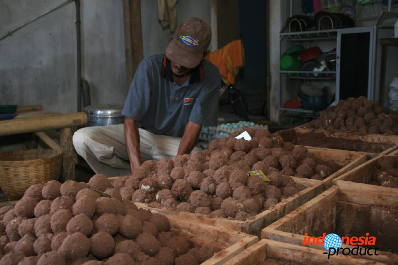 duck-farm-sidoarjo-14.jpg