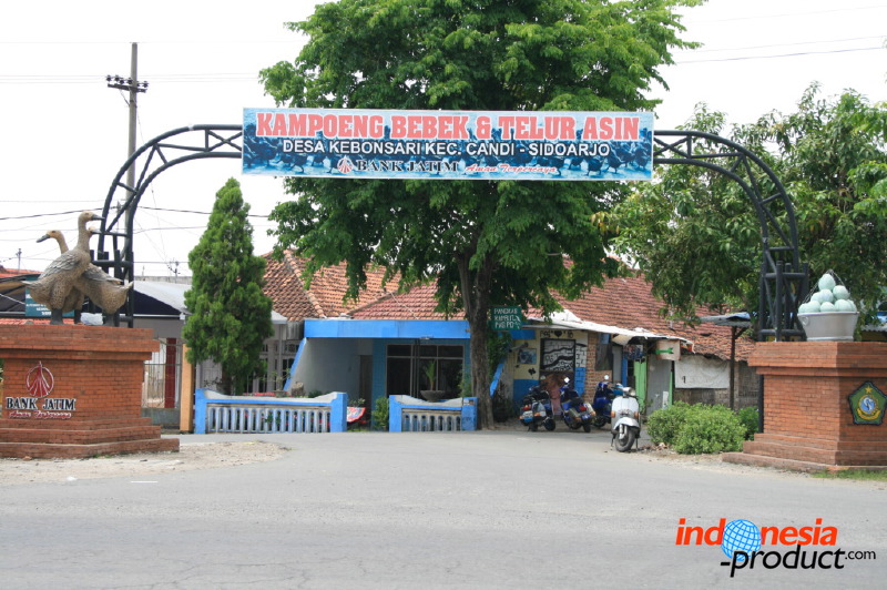 duck-farm-sidoarjo-23.jpg