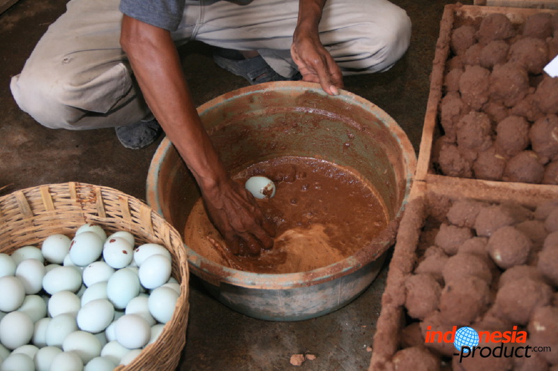duck-farm-sidoarjo-29.jpg