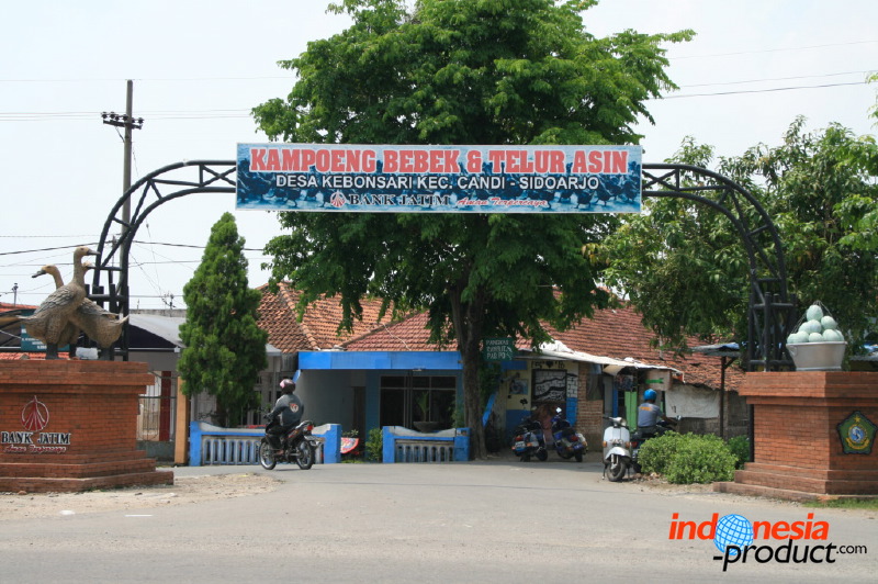 duck-farm-sidoarjo-36.jpg