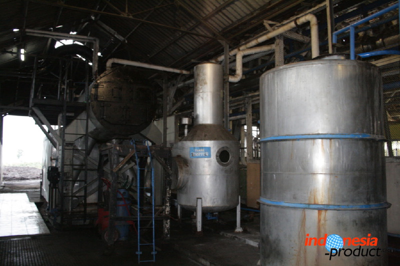 eucalyptus-oil-fact_1f87480.jpg