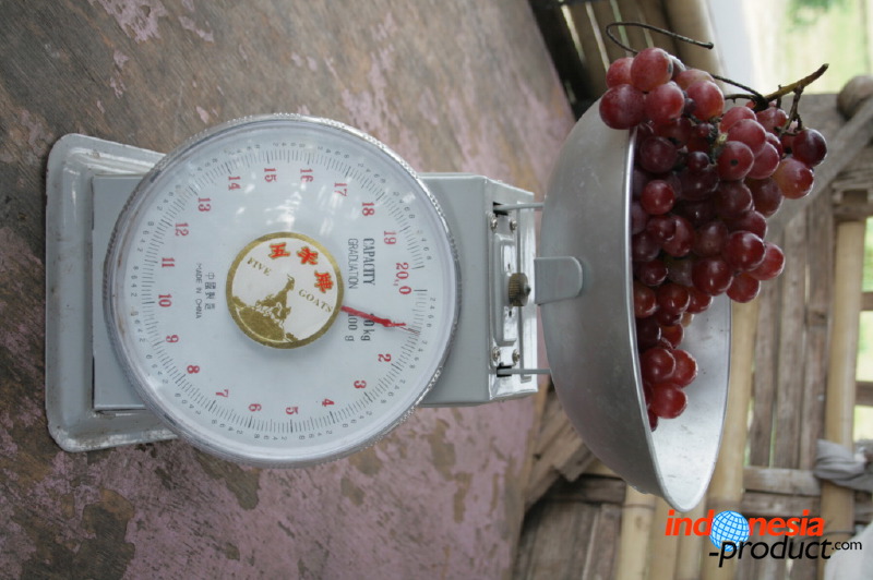 grape-plantation-pr_1f87919.jpg
