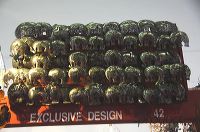exclusive-design3-i_1c919dd