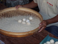 bo-liem-onde-onde-m_1f862b1