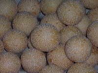 bo-liem-onde-onde-m_1f862c5