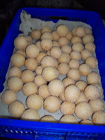 bo-liem-onde-onde-m_1f862c9