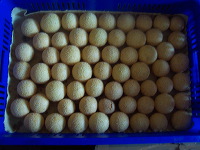 bo-liem-onde-onde-m_1f862cc
