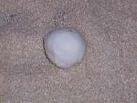 bo-liem-onde-onde-m_1f862cd