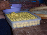 bo-liem-onde-onde-m_1f862d1